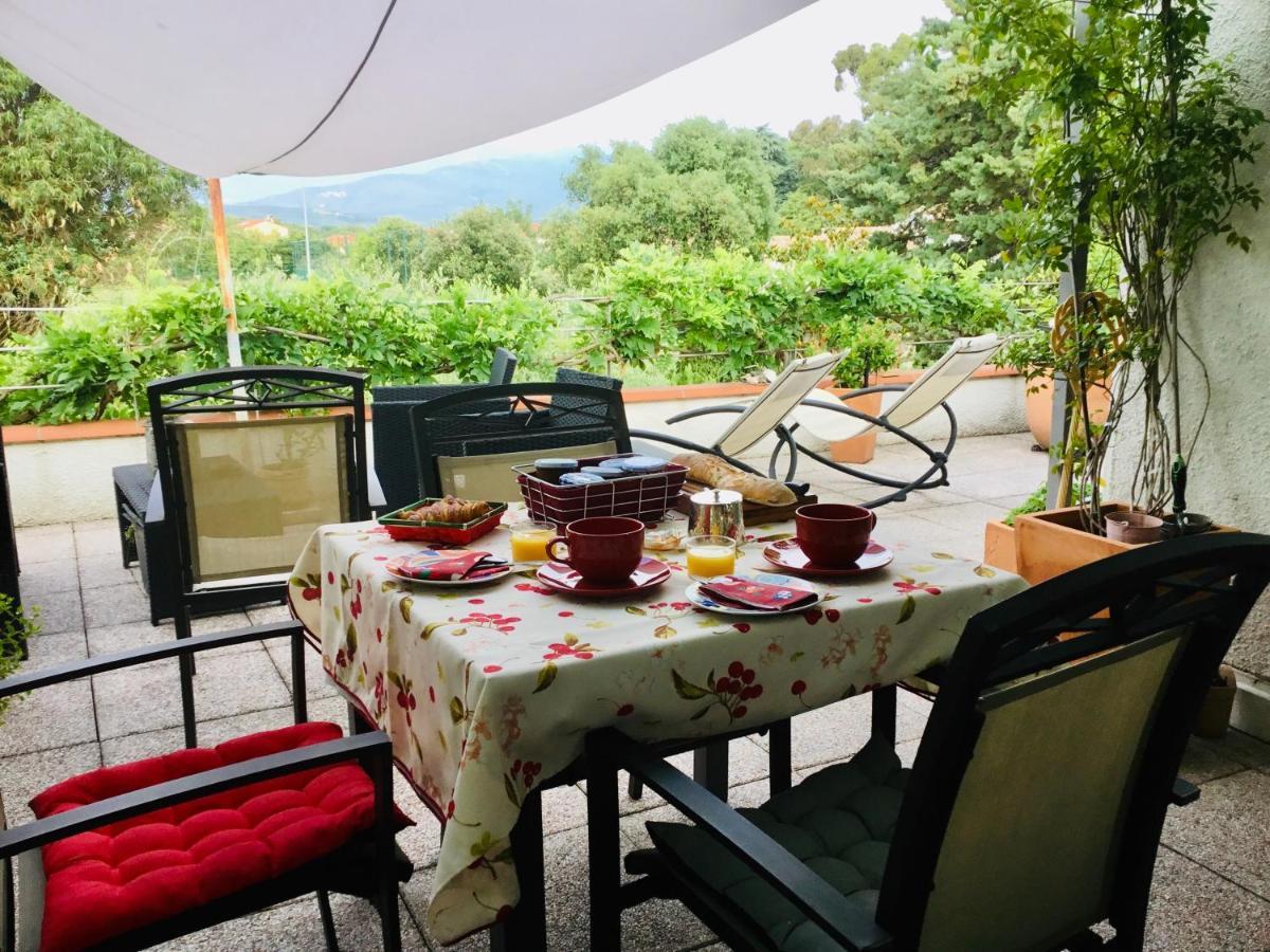 Mas Pierre Bed & Breakfast Maureillas Exterior photo
